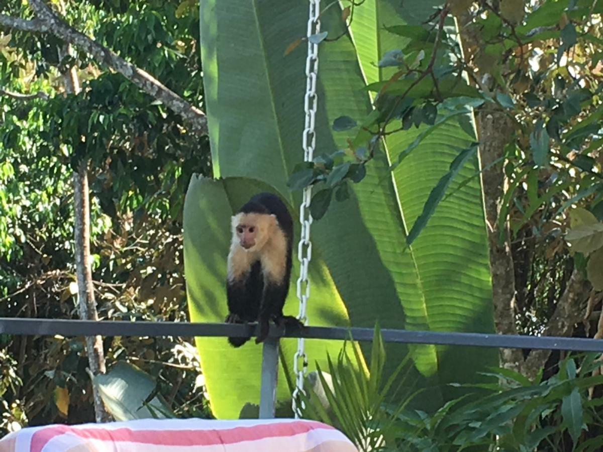 Casa Libertinn Manuel Antonio Exteriér fotografie